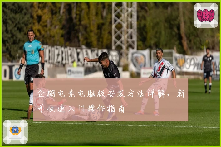 企鹅电竞电脑版安装方法详解，新手快速入门操作指南