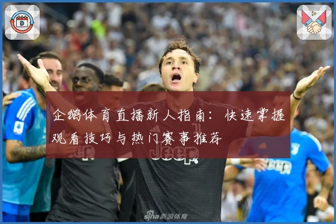 企鹅体育直播新人指南：快速掌握观看技巧与热门赛事推荐