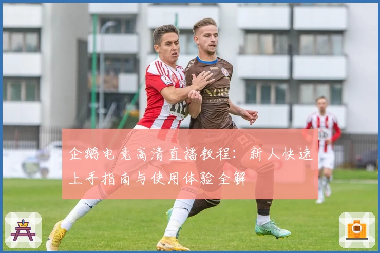 企鹅电竞高清直播教程：新人快速上手指南与使用体验全解