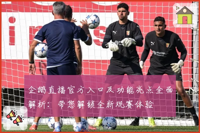 企鹅直播官方入口及功能亮点全面解析：带您解锁全新观赛体验