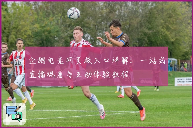 企鹅电竞网页版入口详解：一站式直播观看与互动体验教程