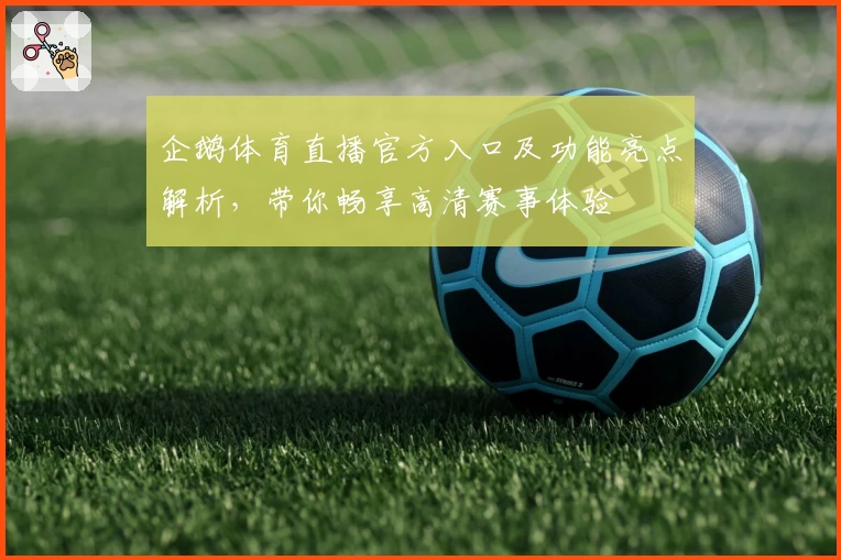 企鹅体育直播官方入口及功能亮点解析,带你畅享高清赛事体验